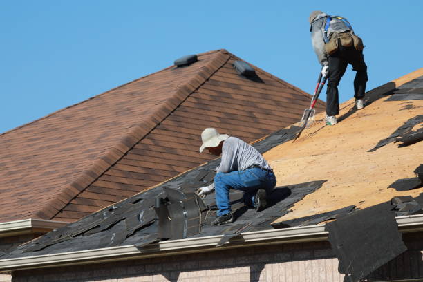 Best Rubber Roofing (EPDM, TPO)  in Goodrich, MI