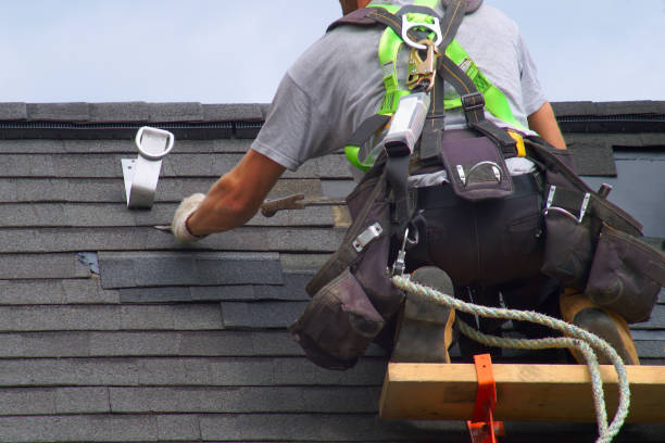 Best Roof Maintenance and Cleaning  in Goodrich, MI