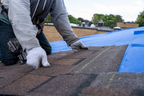Best Flat Roofing  in Goodrich, MI