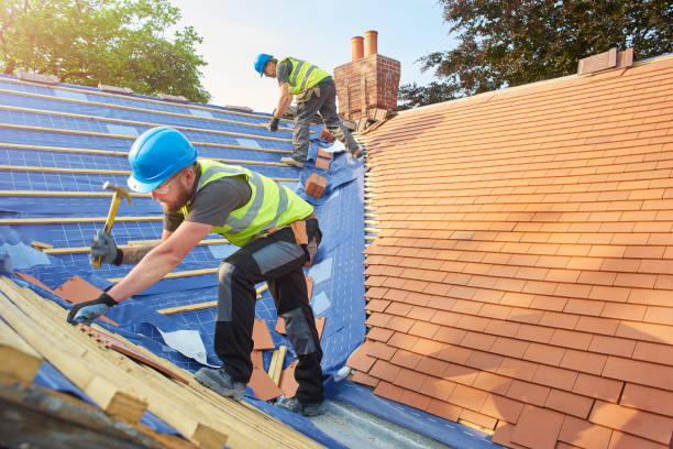 Best Roof Waterproofing  in Goodrich, MI